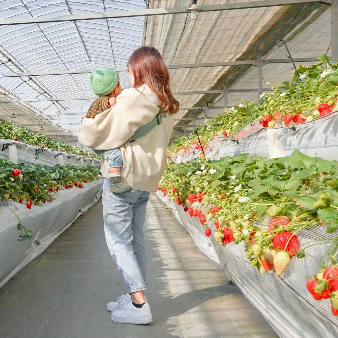 ベストレビュアー