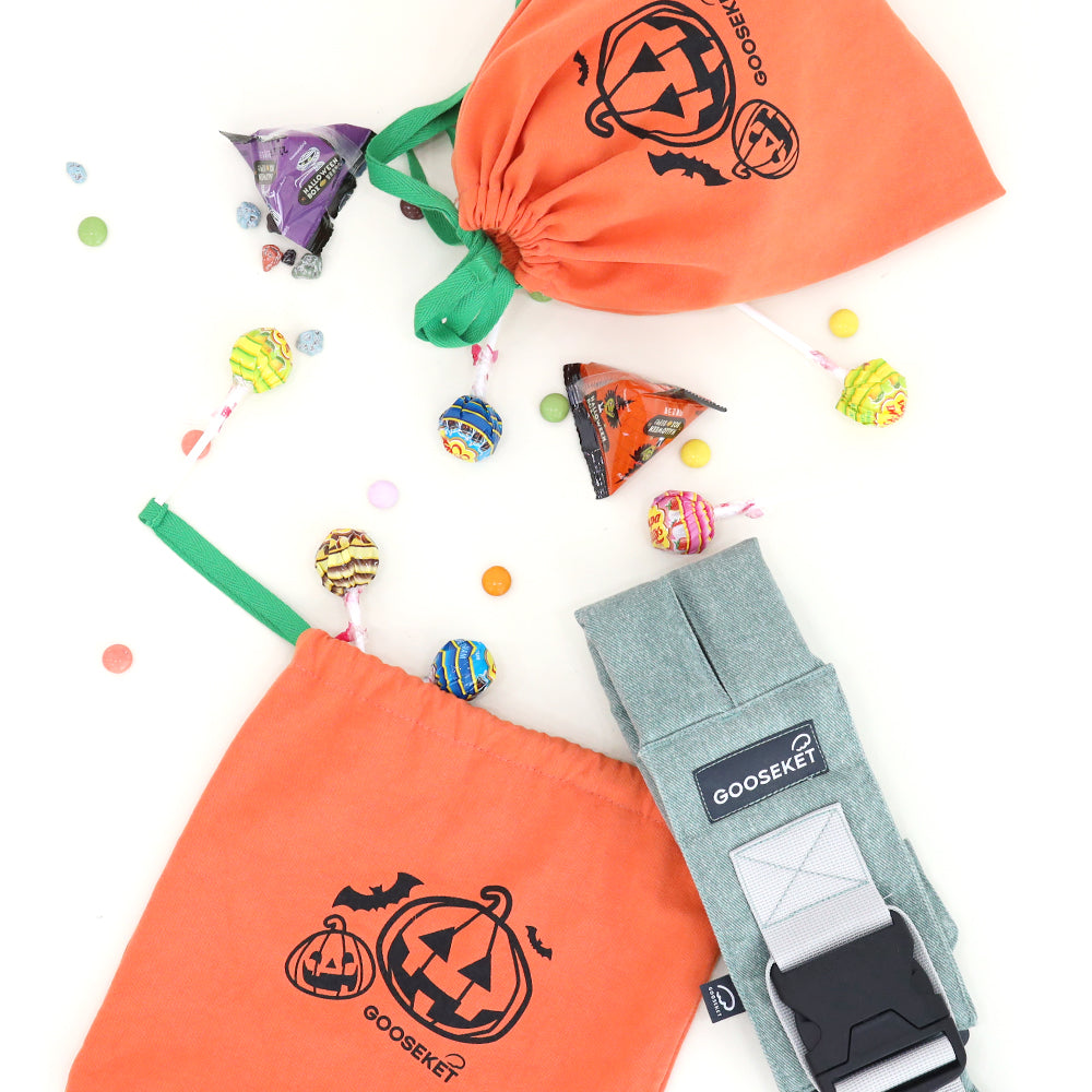 ハロウィンポーチプレセント中！